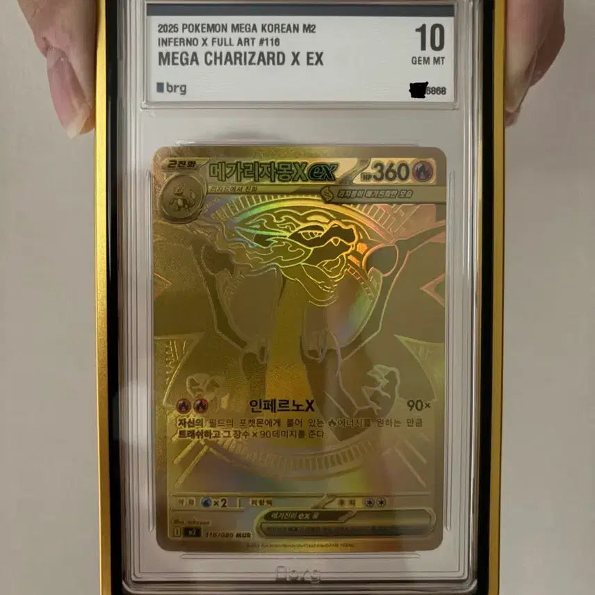[BUNJANG] Pokemon Mega Charizard X Card / 메가리자몽x mur brg 10 판매합니다. 번장 최저가 (교환X)