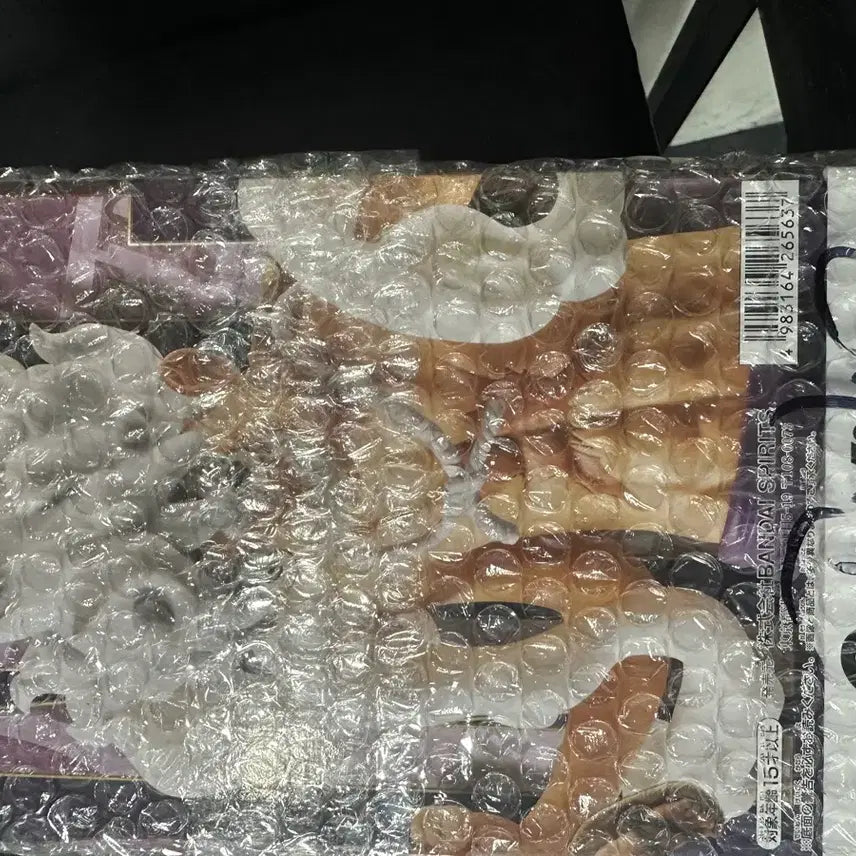 [BUNJANG] Nicaruffy Keyring / 니카루피