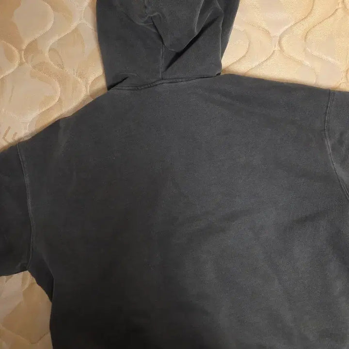 [BUNJANG] Carhartt Vista Hooded Zip-up (M) / 칼하트 비스타 vista 후드 집업 (M)
