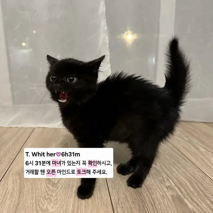 [BUNJANG] Scenario Book / 시나리오집 구매,교환