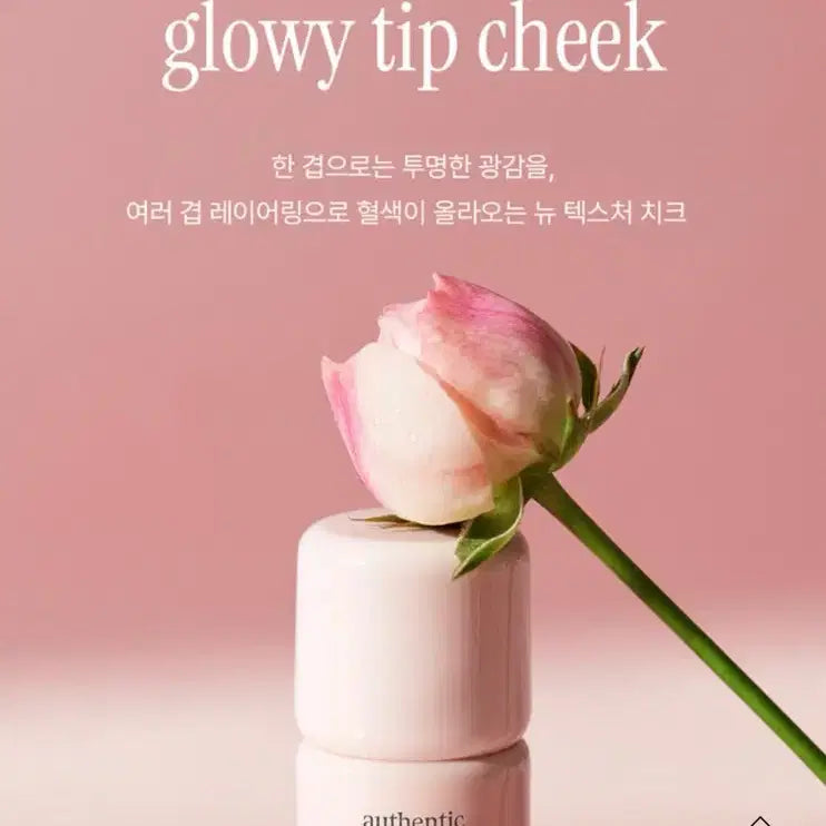 [BUNJANG] Athe Authentic Gloey Tip Cheek (Pigcore) / 아떼 어센틱 글로이 팁 치크 (피그코어)