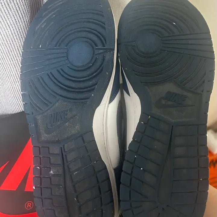 [BUNJANG] Nike Dunk Low Valerian Blue / 나이키 덩크로우 발레리안블루