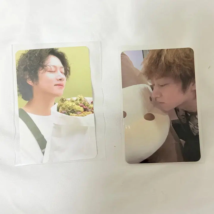 [BUNJANG] Super Junior Heechul Photocard Bundle Set / 슈퍼주니어 희철 김희철 포토카드 일괄