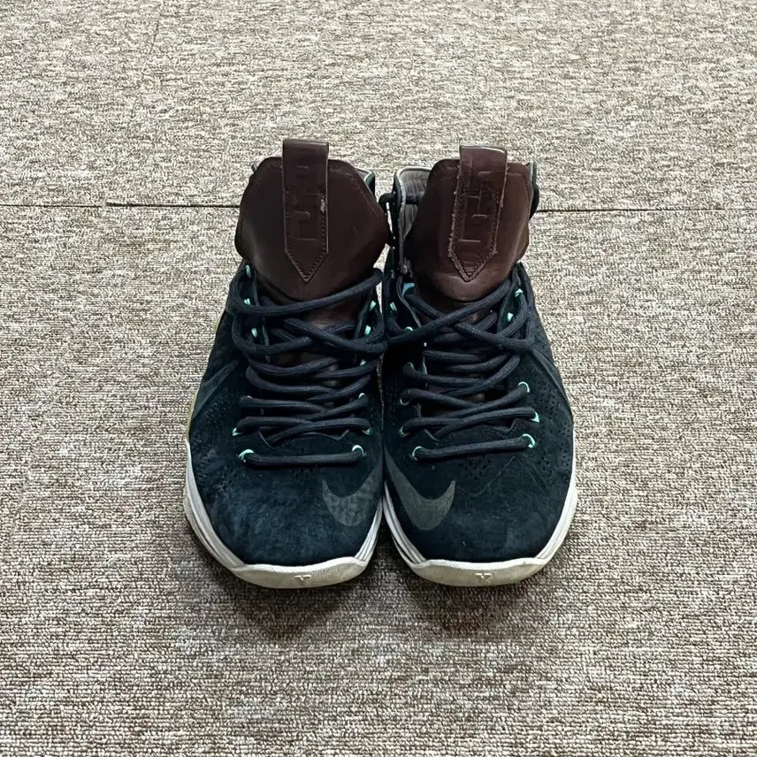 [BUNJANG] Nike LeBron 10 EXT Black Suede Basketball Shoes / 나이키 르브론 10 EXT 블랙 스웨이드 농구화 265