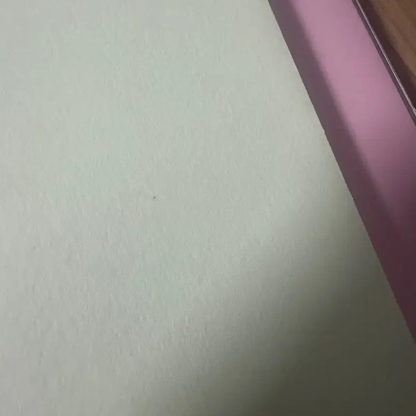 [BUNJANG] Wooy Dot Diary Pink/Mint Unsealed / 우이 도트 다이어리 핑크, 민트 판매 개봉상품 특전없음