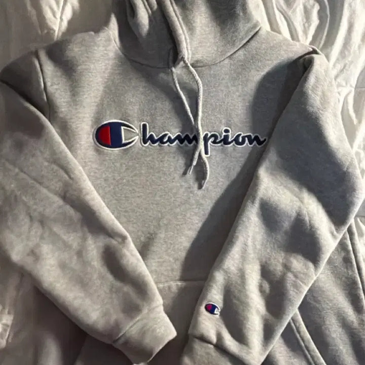 [BUNJANG] Champion Hoodie / 챔피언 후드티 판매 교신 교환