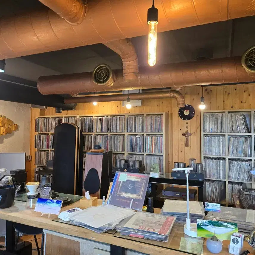 [BUNJANG] Robin Trower City Dreams 1977 US Vinyl Record / Robin Trower.in city dreams.77.US.초반.NM+