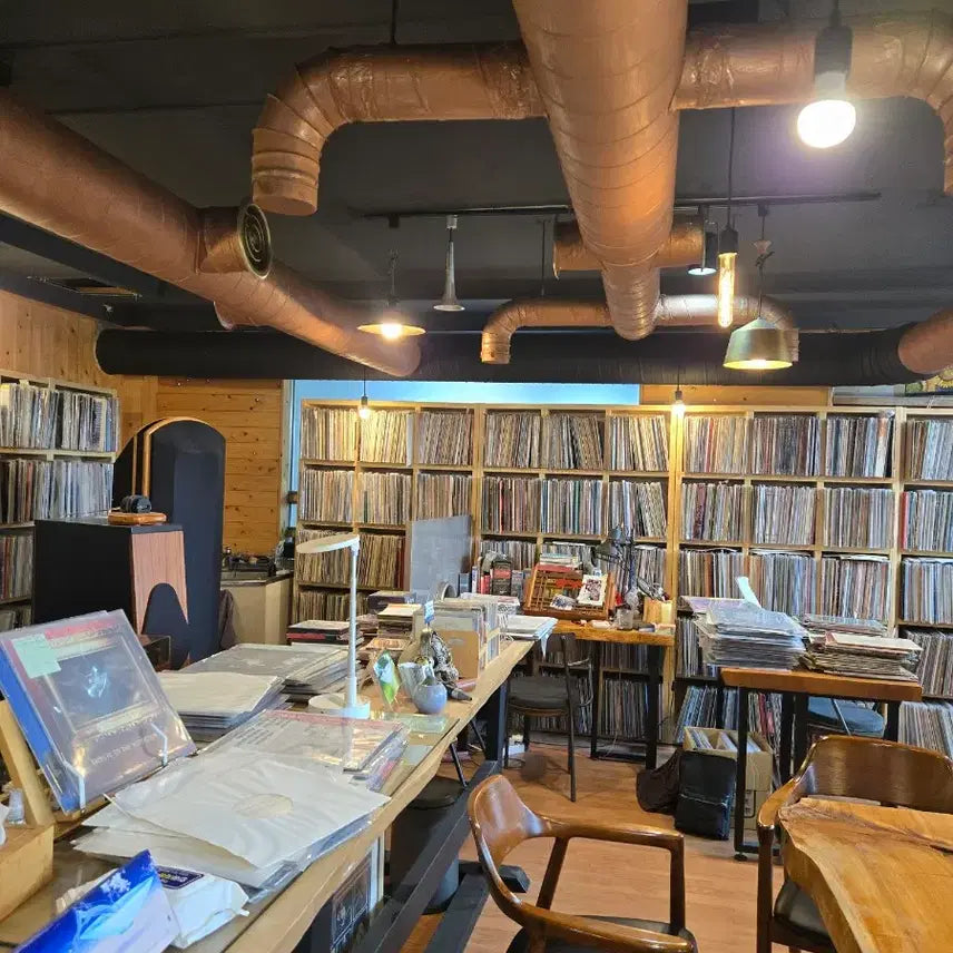 [BUNJANG] Robin Trower City Dreams 1977 US Vinyl Record / Robin Trower.in city dreams.77.US.초반.NM+