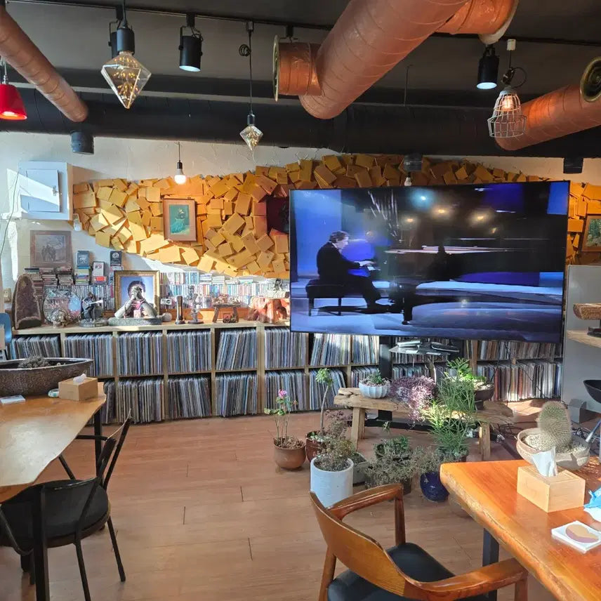 [BUNJANG] Robin Trower City Dreams 1977 US Vinyl Record / Robin Trower.in city dreams.77.US.초반.NM+