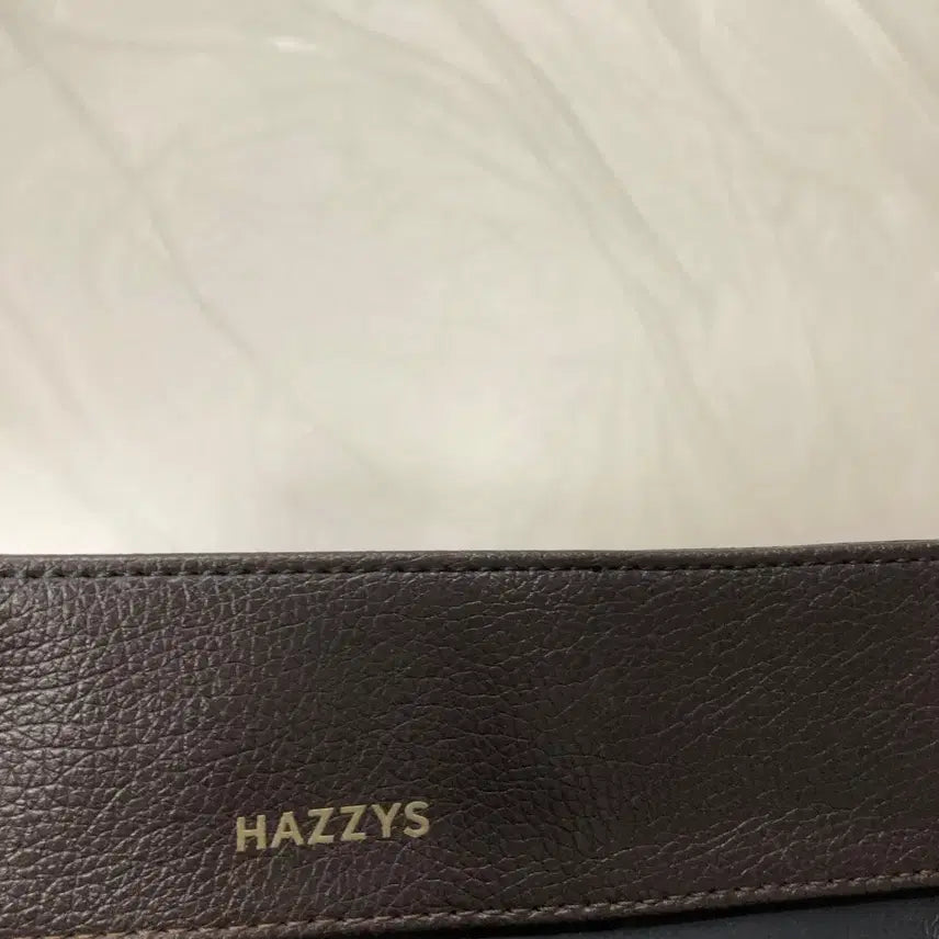 [BUNJANG] Hazzys Crossbody Bag / 헤지스 크로스백@9910