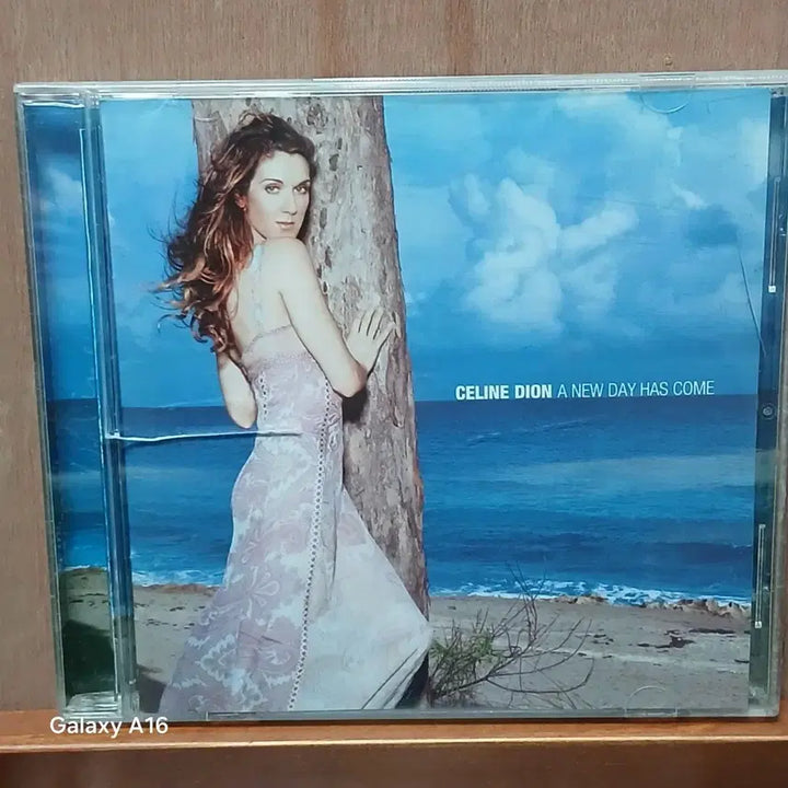 [BUNJANG] Celine Dion CD / CD 셀린디온