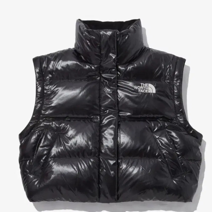 [BUNJANG] The North Face Glossy Detachable Down Jacket / 노스페이스 글로시 디테쳐블 다운자켓