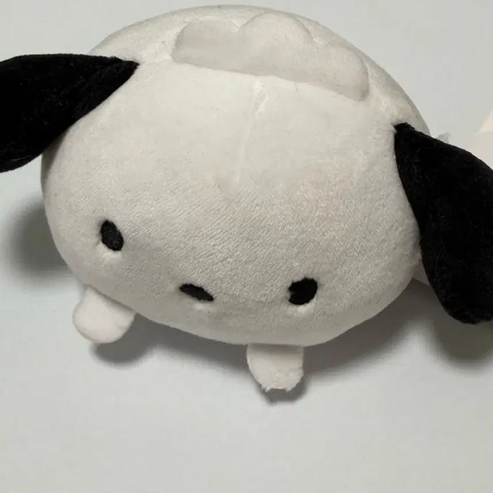 [BUNJANG] Sanrio Pochacco Manju Plush Doll / 포챠코 인형/산리오/포챠코만쥬