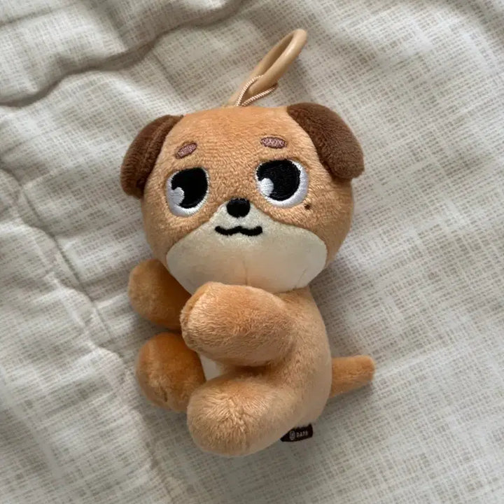 [BUNJANG] DAY6 Dowoon Magnet Plush Set / 데이식스 나안아 마그넷 플러시 세트 도운 돈