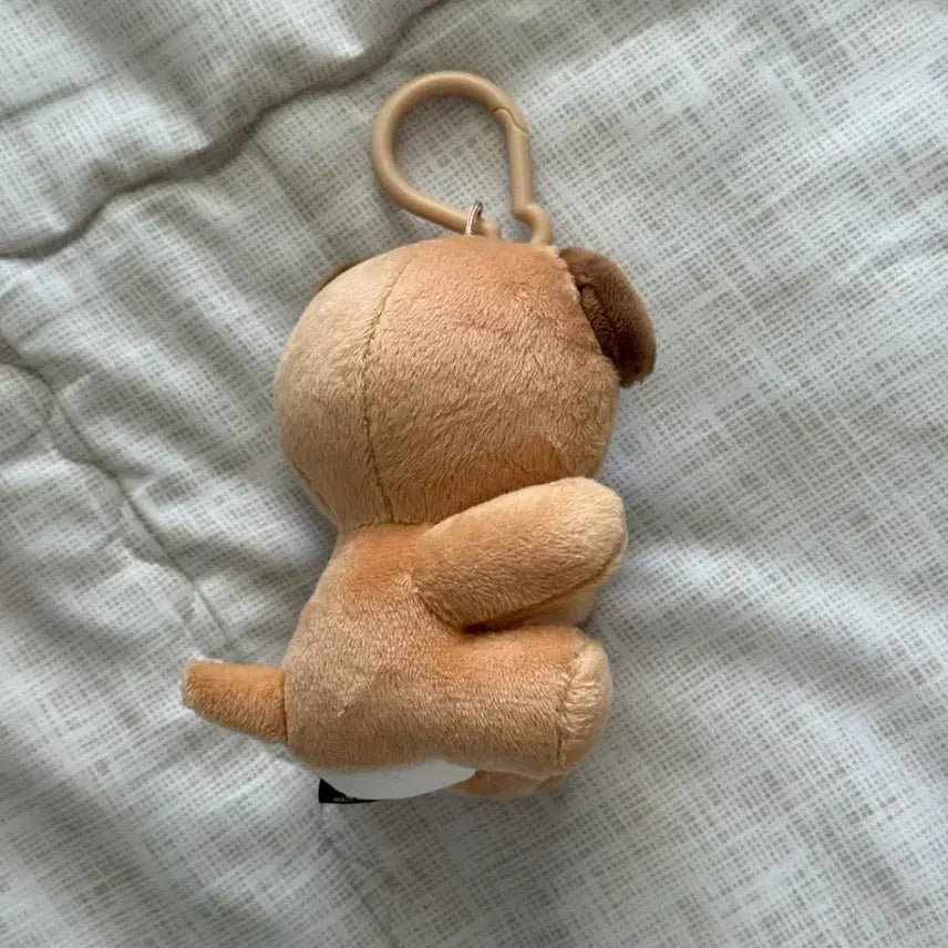 [BUNJANG] DAY6 Dowoon Magnet Plush Set / 데이식스 나안아 마그넷 플러시 세트 도운 돈