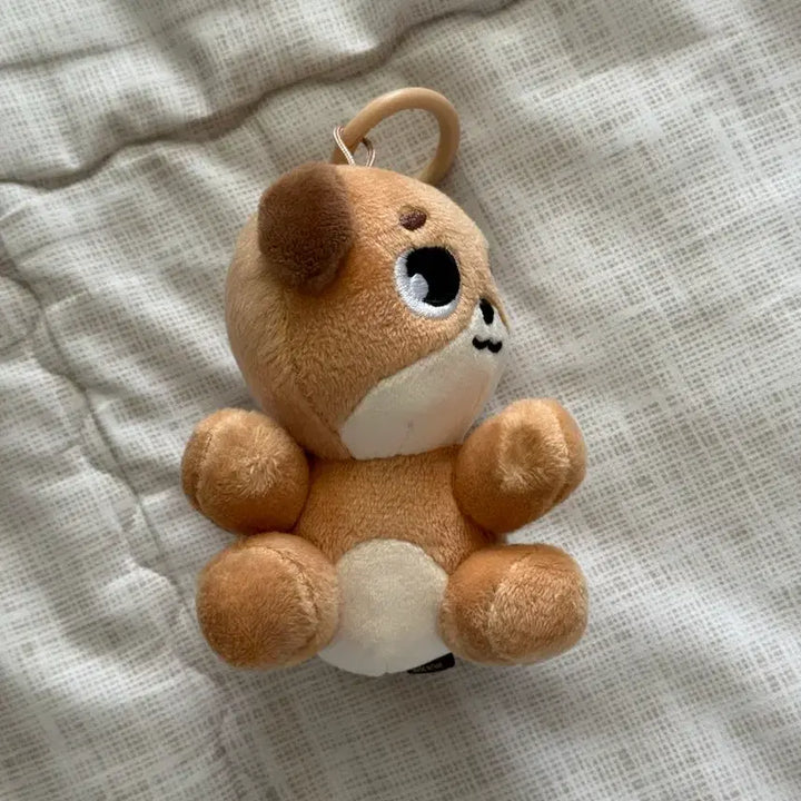 [BUNJANG] DAY6 Dowoon Magnet Plush Set / 데이식스 나안아 마그넷 플러시 세트 도운 돈