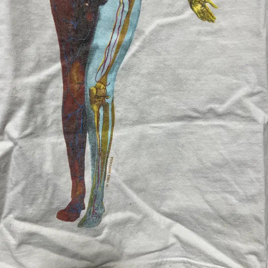 [BUNJANG] Nirvana In Utero L / 빈티지 너바나 인우테로 L