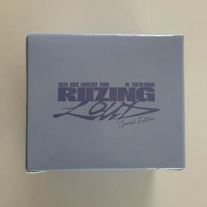 [SOLD OUT] 라이즈 도쿄돔 MD 토냥덕 헤어핀 미개봉