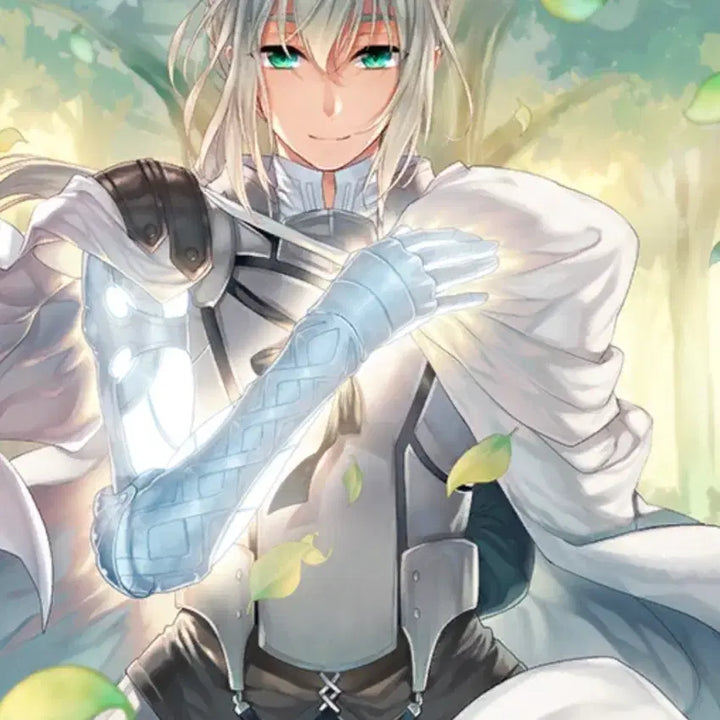 [BUNJANG] Fate/Grand Order Bedivere Final Ascension Tapestry / 페이트 페그오 fgo 베디비어 최종재림 태피스트리 판매