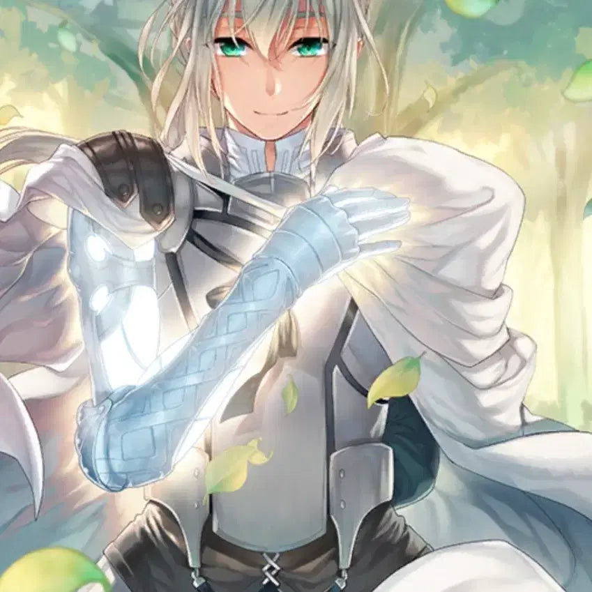 [BUNJANG] Fate/Grand Order Bedivere Final Ascension Tapestry / 페이트 페그오 fgo 베디비어 최종재림 태피스트리 판매