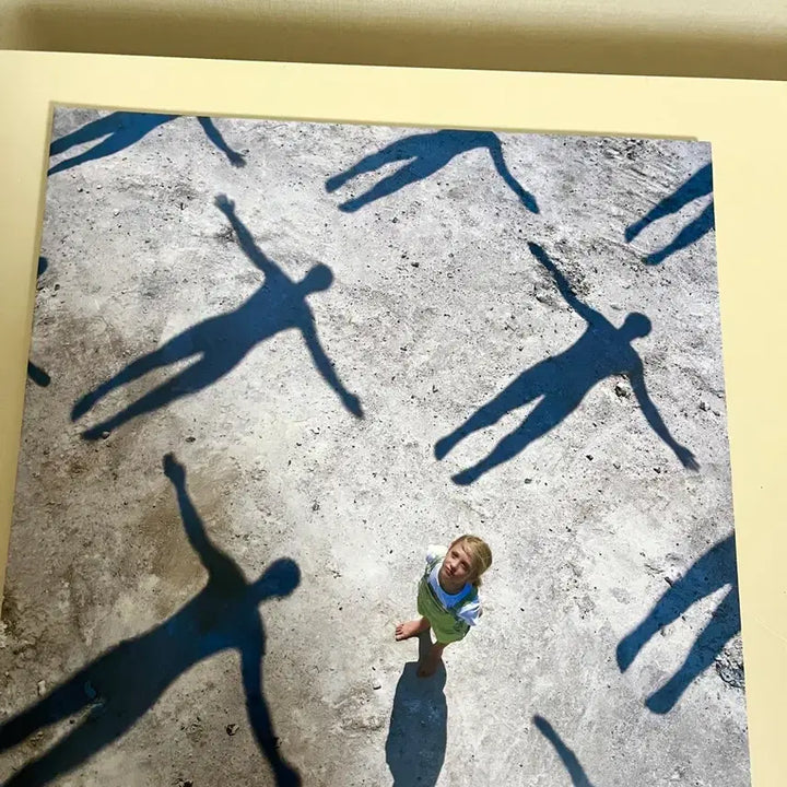[BUNJANG] Muse Absolution LP New / muse 뮤즈 absolution LP 새제품