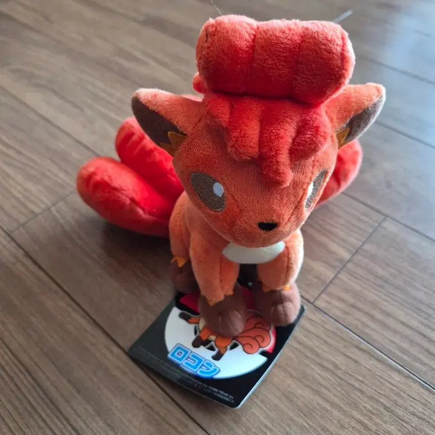 [BUNJANG] Pokemon Vulpix Plush Doll / 포켓몬 인형 식스테일 봉제인형 일본정품