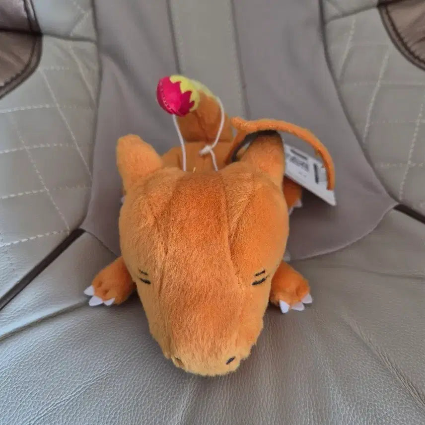 [BUNJANG] Pokemon Charizard Plush Doll / 포켓몬스터 리자몽 인형