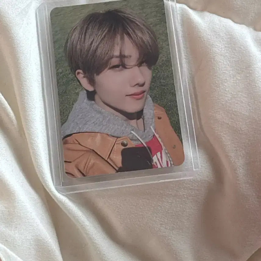 [BUNJANG] Zandizisung Photocard / 잔디지성 포카