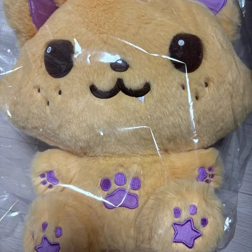 [BUNJANG] NCT WISH Sion 30cm Doll / 엔시티 위시 팝업 위시돌 30cm 시오닝 시온 양도 판매