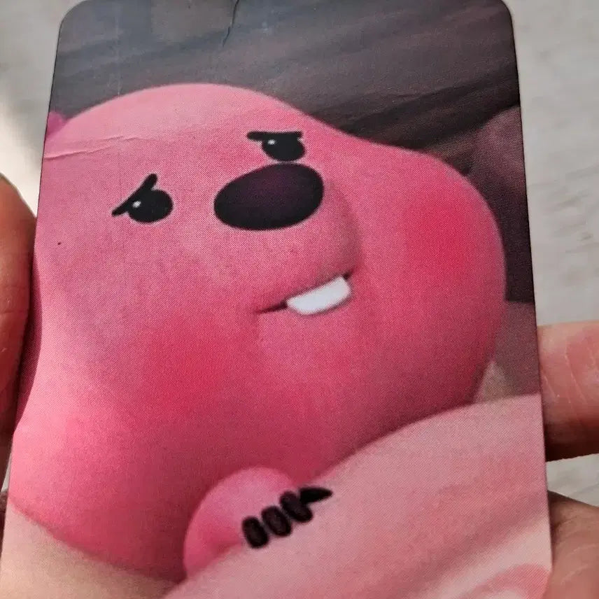 [BUNJANG] Zanmang Loopy Unofficial Photocard - Bundle Set / 잔망루피 비공굿 포카 팔아요