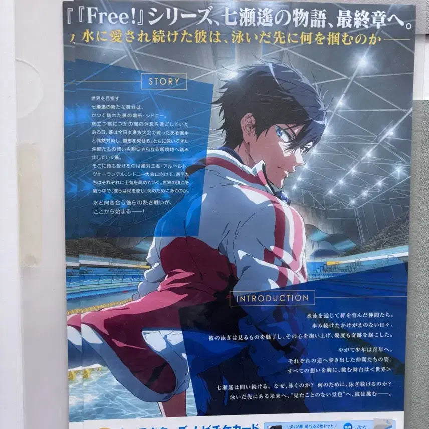 [BUNJANG] Free! Final Stroke Poster / 일본판 극장판 Free! Final Stroke 포스터