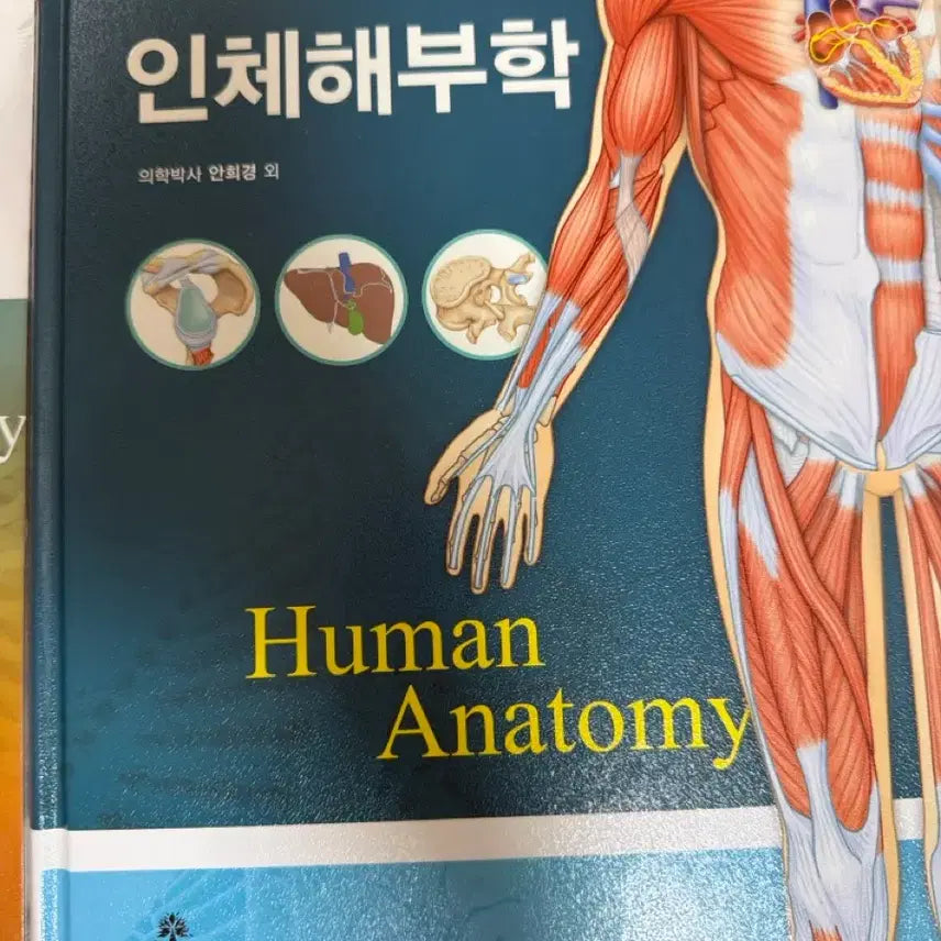 [BUNJANG] Anatomy Textbook (6th Edition) + Practice Book / 인체해부학 책 (제6판)+실습책 (고문사)