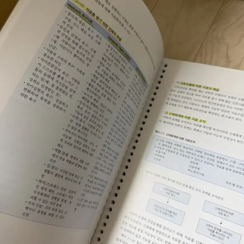 [BUNJANG] Nursing Process and Critical Thinking 4th Edition Textbook / 간호과정과 비판적 사고 제4판 (현문사)
