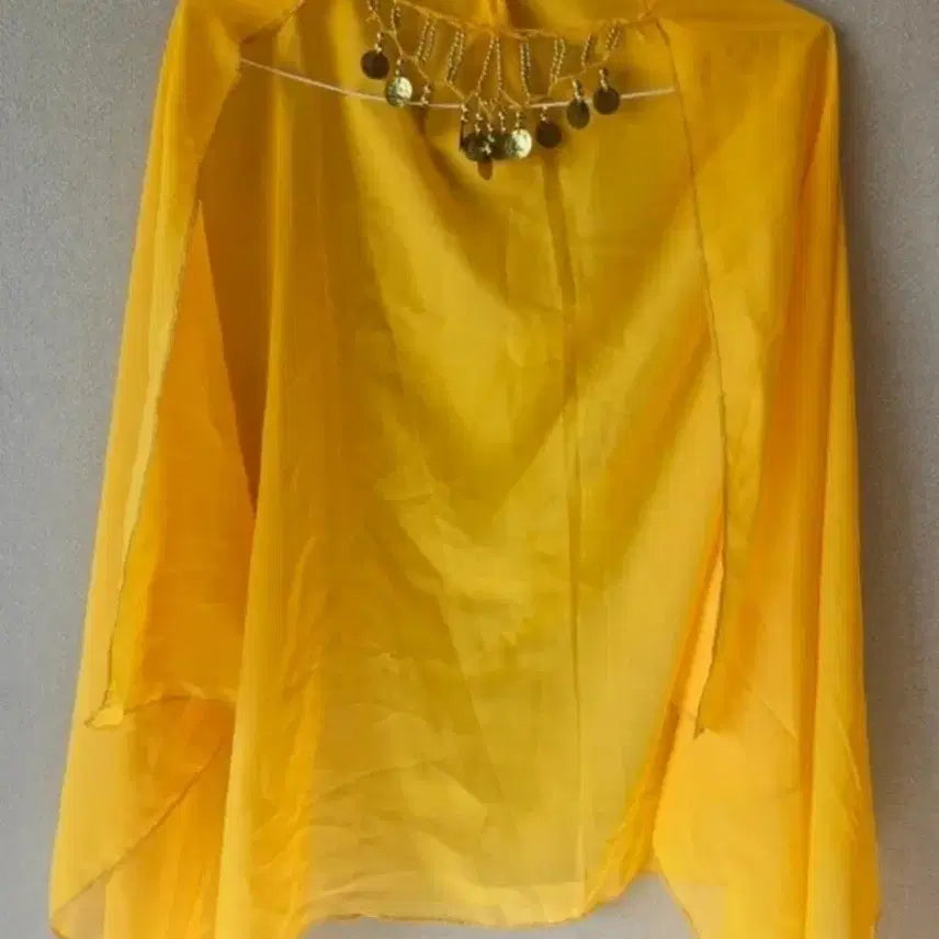 [BUNJANG] Belly Dance Costume Set / 벨리 코스튬