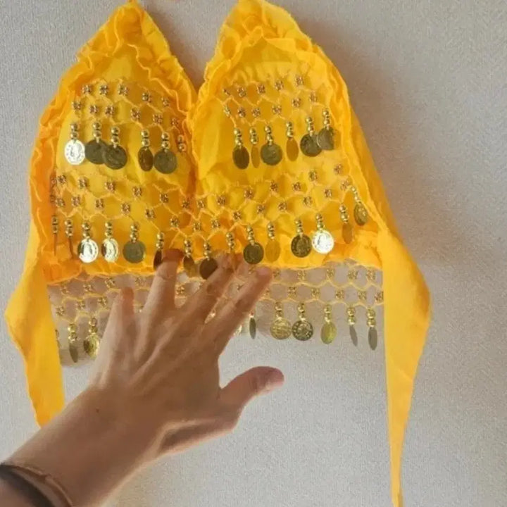 [BUNJANG] Belly Dance Costume Set / 벨리 코스튬