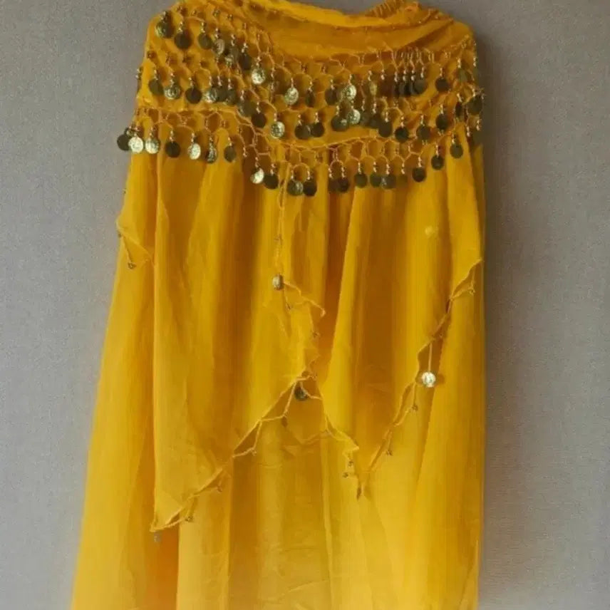 [BUNJANG] Belly Dance Costume Set / 벨리 코스튬