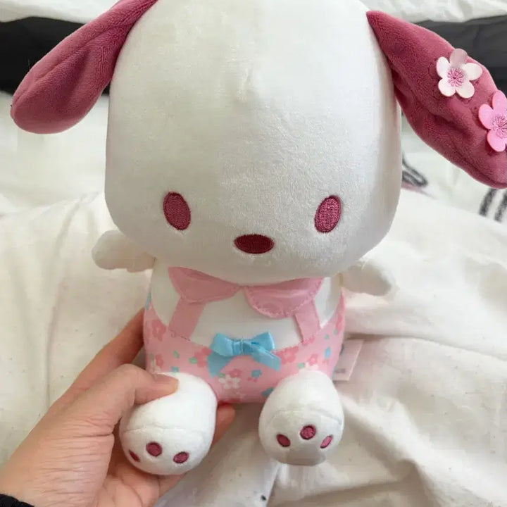 [BUNJANG] Sanrio Pochacco Sakura Plush Doll Spring Edition / 산리오 벚꽃포차코 사쿠라 인형 봄