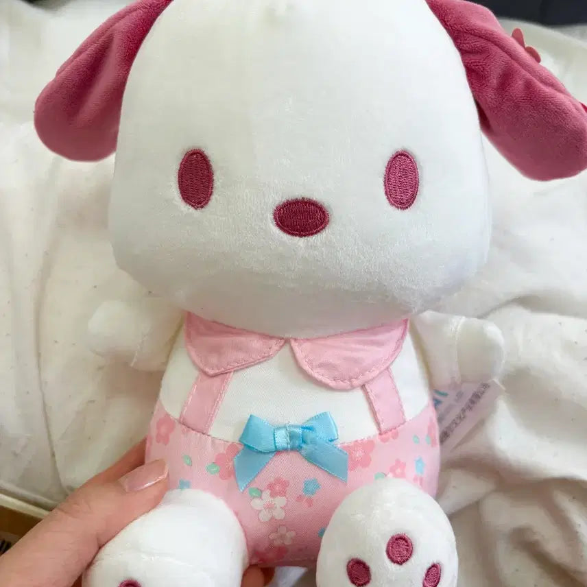 [BUNJANG] Sanrio Pochacco Sakura Plush Doll Spring Edition / 산리오 벚꽃포차코 사쿠라 인형 봄
