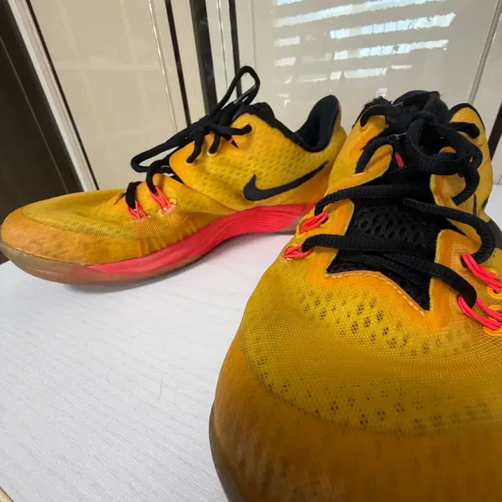 [BUNJANG] Nike Zoom Kobe Venomenon 5 Sneakers / 나이키 줌코비 베노매논5 마지막 가격 내림!