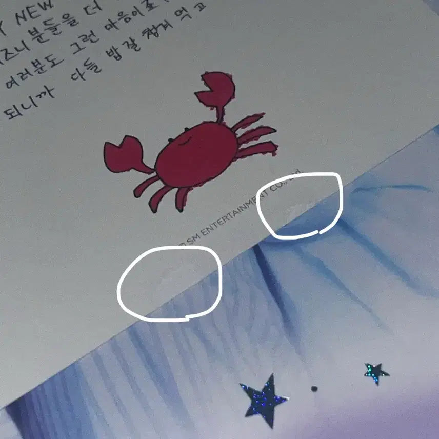 [BUNJANG] NCT Wish 2025 Season's Greetings / 엔시티 위시 nct wish 시즌그리팅 2025