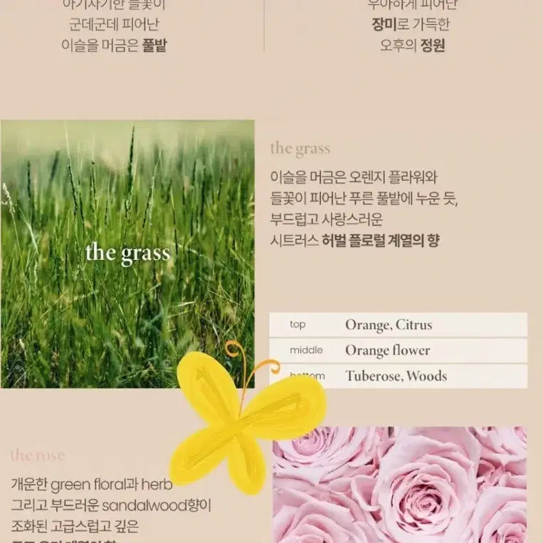 [BUNJANG] OHUI Hand Cream Set / 오휘 핸드크림 2입세트