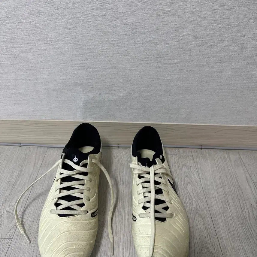 [BUNJANG] Nike Tiempo Legend 10 Pro AG Soccer Cleats / 나이키 티엠포 레전드 10 프로 AG