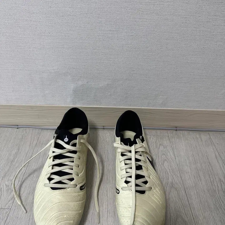 [BUNJANG] Nike Tiempo Legend 10 Pro AG Soccer Cleats / 나이키 티엠포 레전드 10 프로 AG