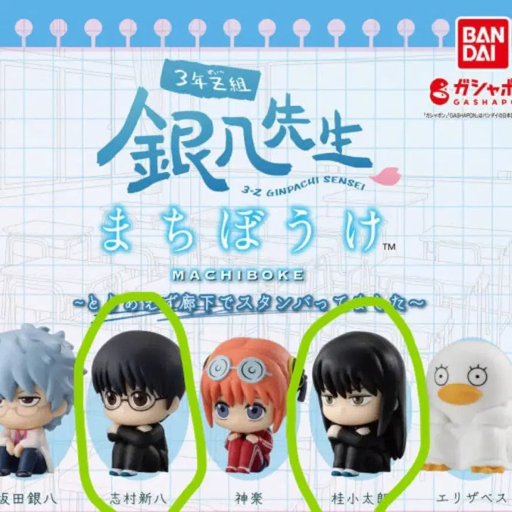 [BUNJANG] Gintama Machiboke Figure Bundle Set / 은혼 삼젯 마치보케 가챠 피규어 카츠라 신파치 일괄