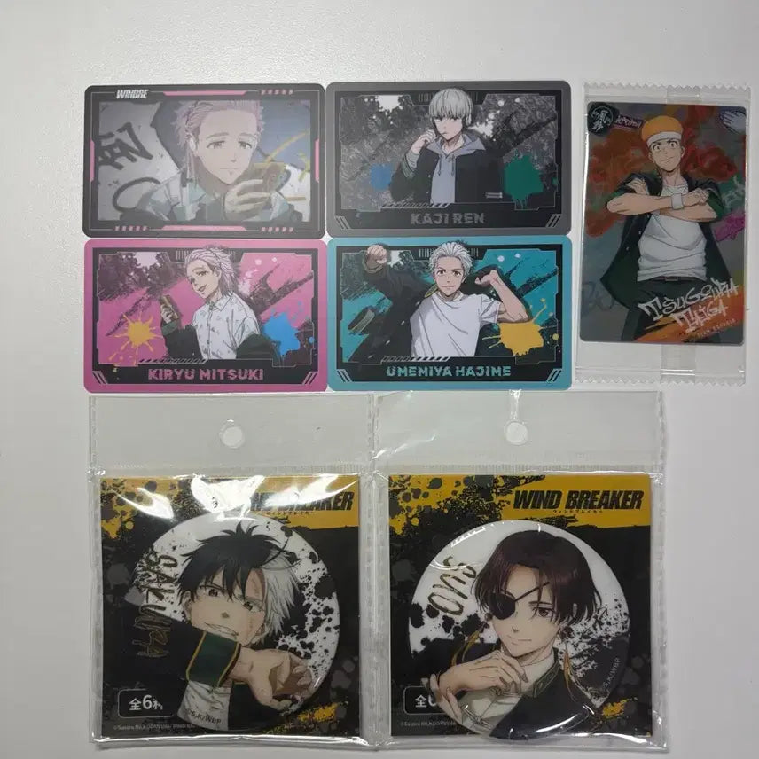 [BUNJANG] Wind Breaker Magnet Photocard Set / 윈드브레이커 윈브레 굿즈 포토카드 마그넷