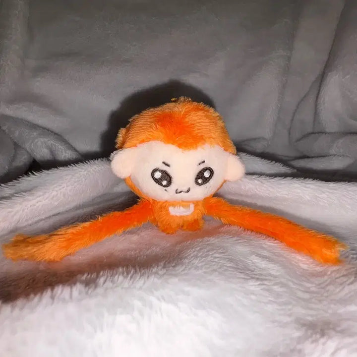 [BUNJANG] RIIZE Sohee Ikkikki Doll / 라이즈 소희 인형 이끼끼 양도