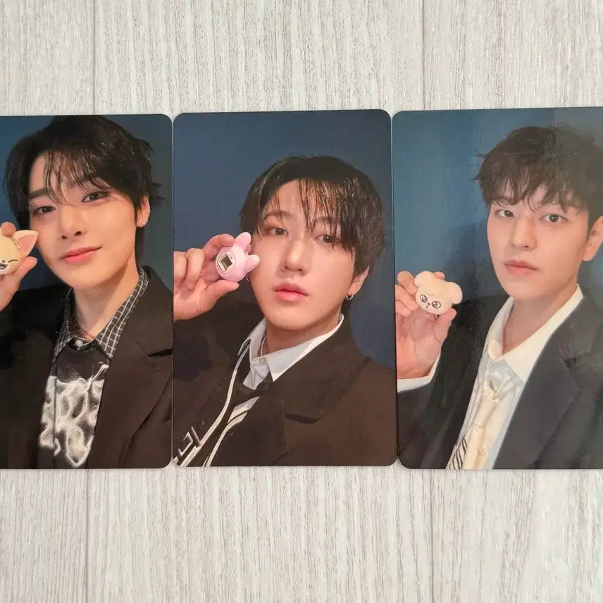 [SOLD OUT] Stray Kids 스키즈  포토카드 3장