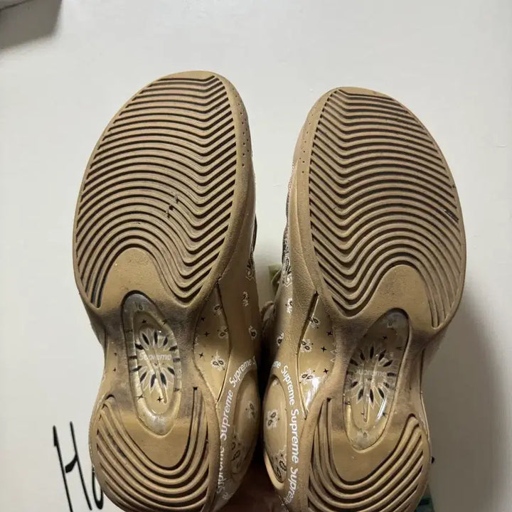 [BUNJANG] Nike Supreme Air Zoom Flight 95 SP Hemp / 나이키 슈프림 에어 줌 플라이트 95 sp 헴프