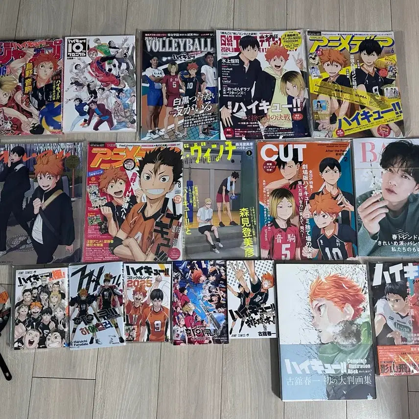 [BUNJANG] Haikyuu Magazine Bundle Set / 하이큐 신문 잡지 화집