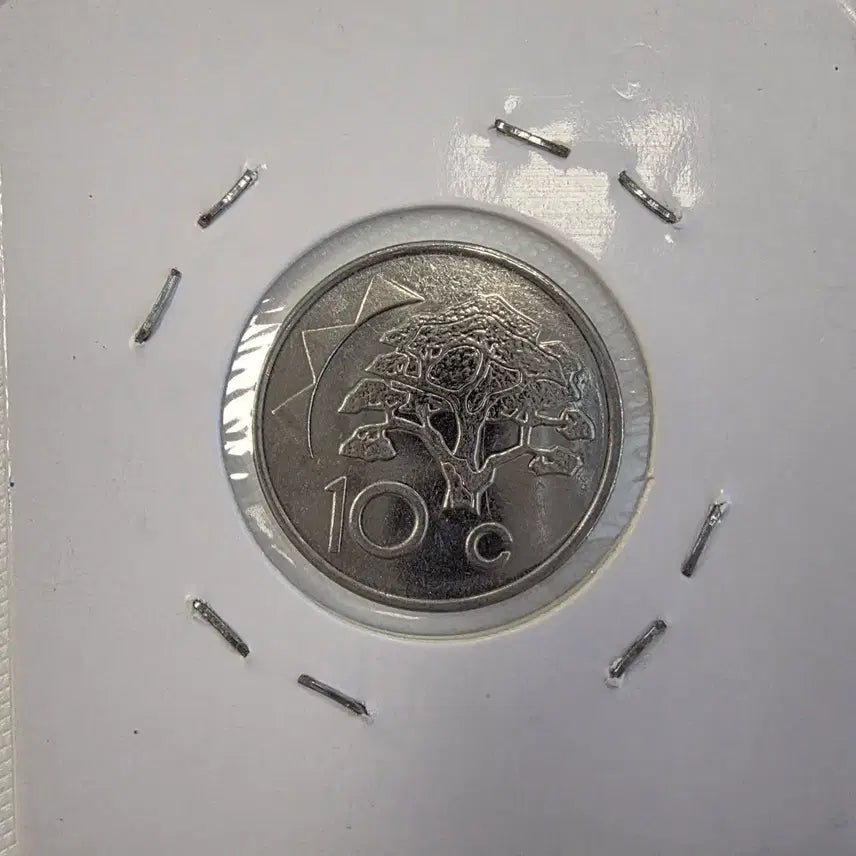 [BUNJANG] Namibia 10 Cent Coin zk-1221 / 나미비아 10센트 동전 zk-1221